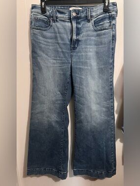 Torrid 12 Regular Jeans